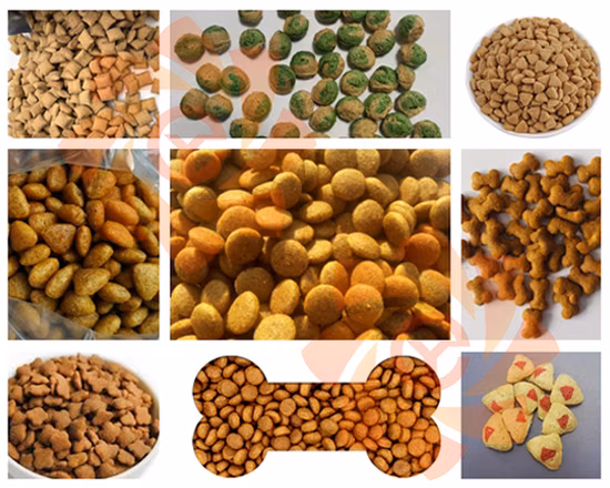 高出力製造ペットドライドッグフード生産ライン押出機浮遊魚飼料ペレット製造加工機